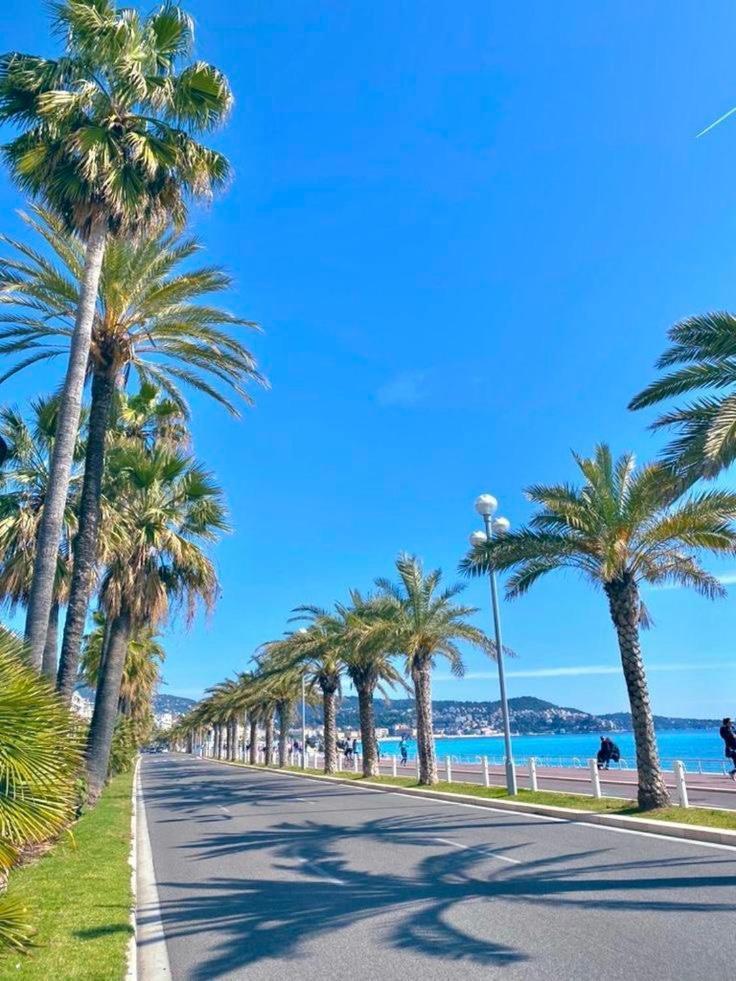 Suite Chic & Cosy, Hyper Centre, Proximite Plage, Nice Centre Exterior photo